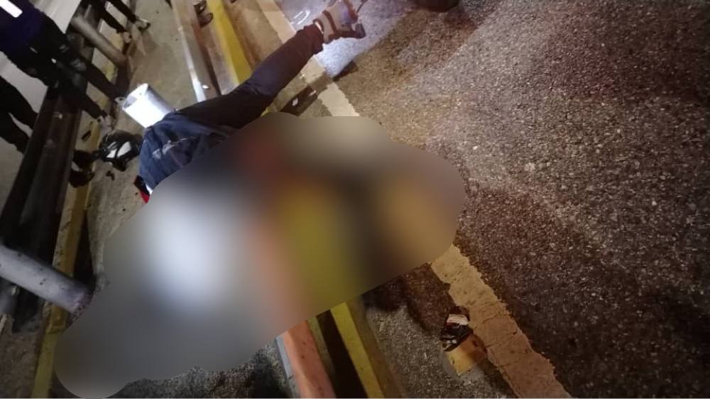 Un motorizado falleció al chocar con la defensa en la autopista