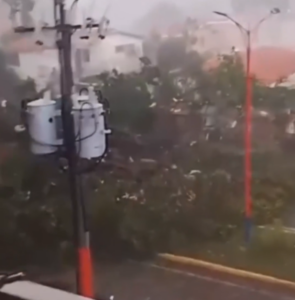 Mujer embarazada resulta herida tras la caída de un árbol por las fuertes lluvias