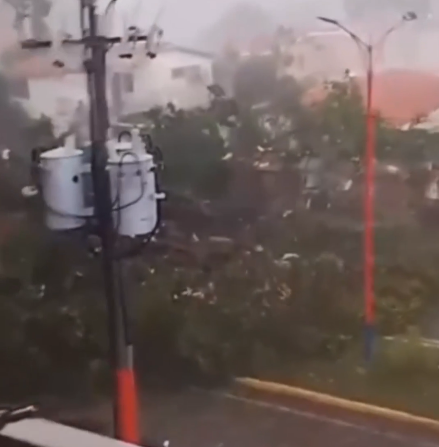 Mujer embarazada resultó herida tras la caída de un árbol por las fuertes lluvias