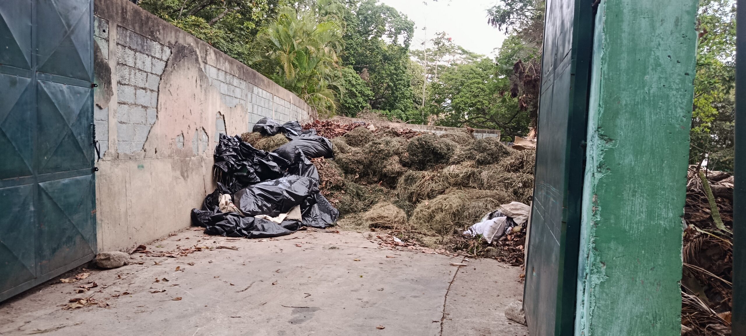 (+VIDEO) El clamor ciudadano por el Parque del Este: Usuarios denuncian deterioro y exigen mejoras