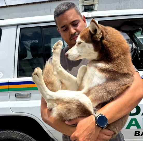 Policía de Baruta resguardó y reencontró a la perrita «Canela»con su dueño