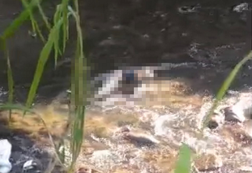 Hallan el cadáver de un hombre en el río Cabriales de Valencia