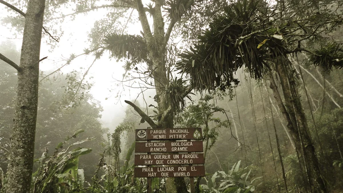 Despliegan operativo para localizar a dos senderistas extraviados en el Parque Nacional Henri Pittier